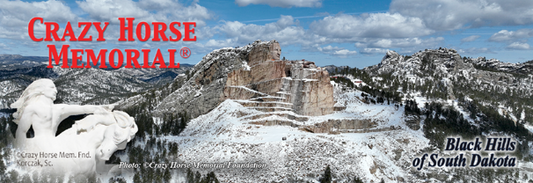 Panoramic Photo Magnet