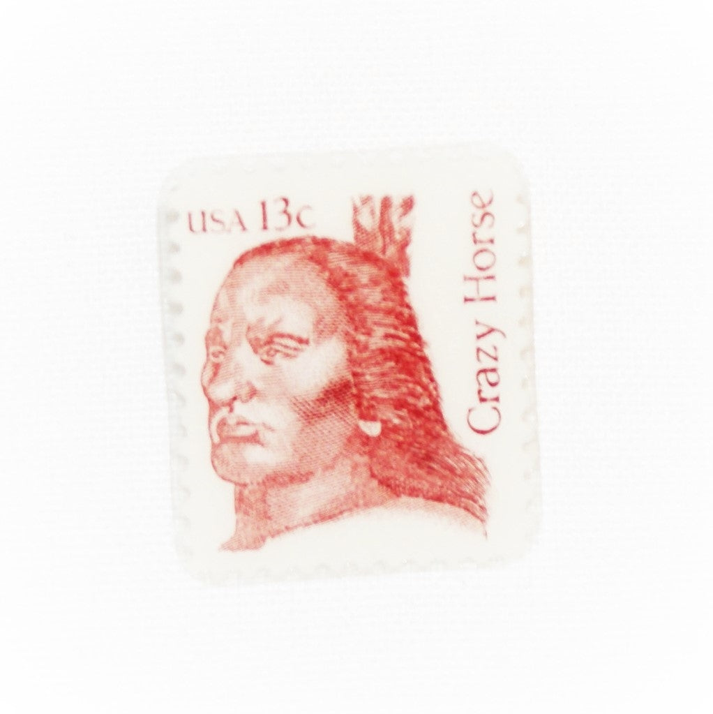 Crazy Horse Stamp Lapel Pin